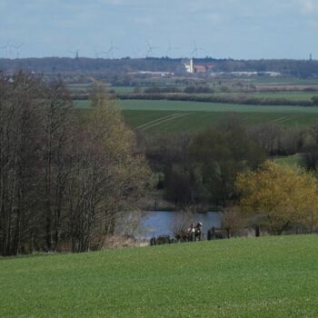 Gemeinschaftstour Wanderung über Felder und durch Wälder von Rostock nach Bad Doberan und durch das Quellental