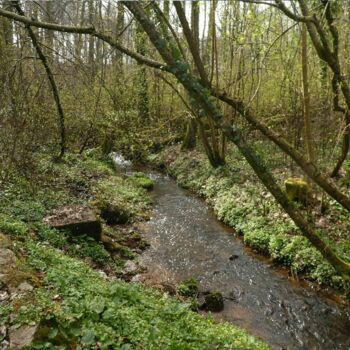Gemeinschaftstour Wanderung über Felder und durch Wälder von Rostock nach Bad Doberan und durch das Quellental