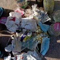 Pinnower See -Schlafplaz vom Petermännchen gereinigt