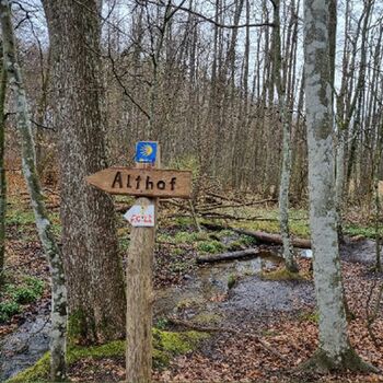 Gemeinschaftstour Wanderung über Felder und durch Wälder von Rostock nach Bad Doberan und durch das Quellental
